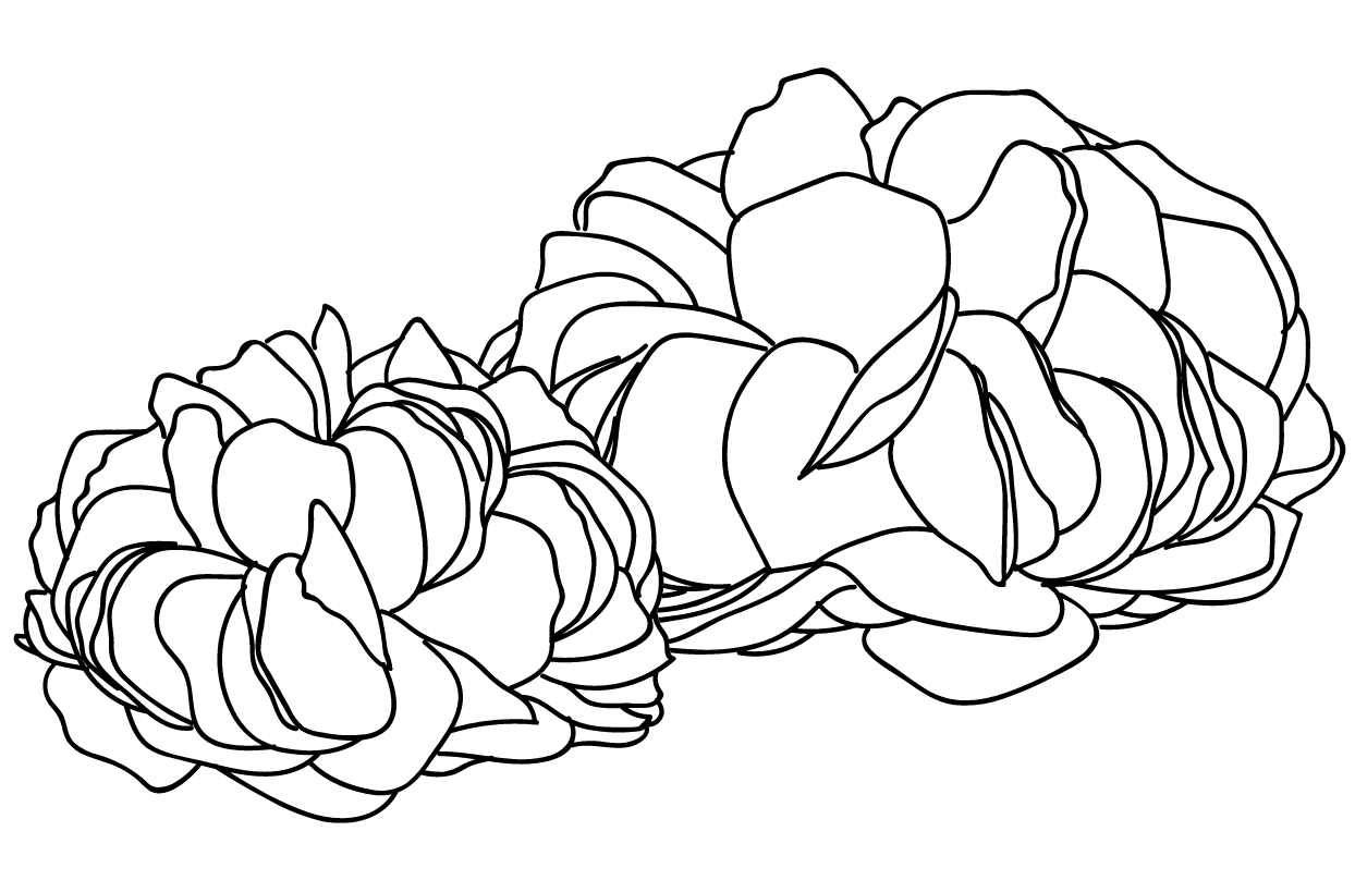 Product Story